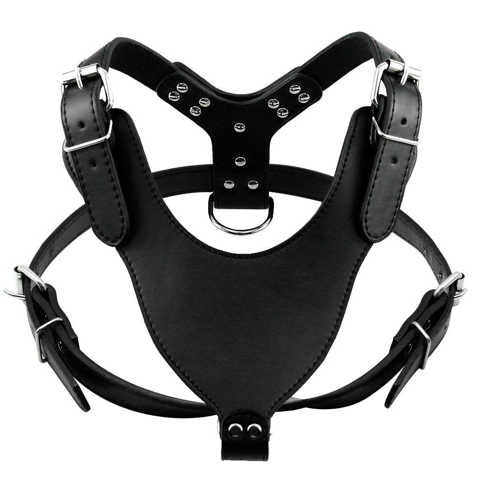 Best Bulldog Harness