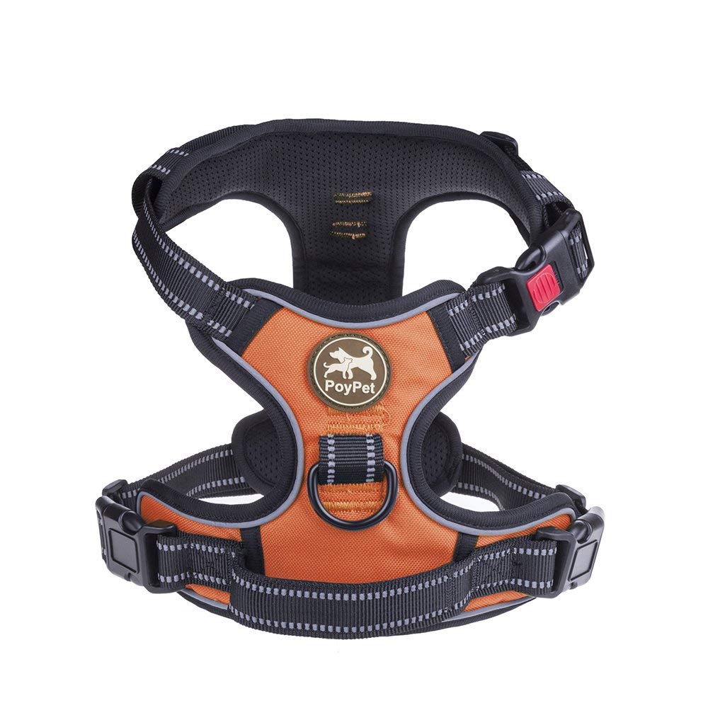 Best Bulldog Harness