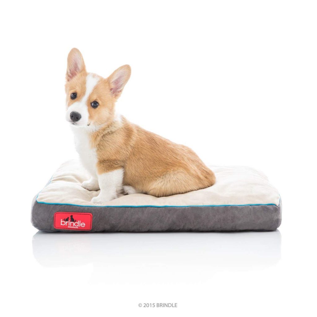 best chew proof dog beds