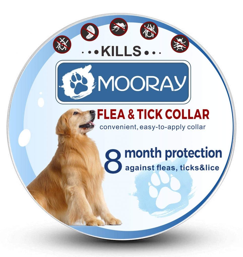 best flea collar for dogs