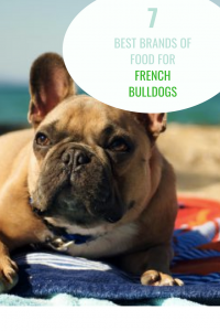 The Best Food for a French Bulldog - A Look at the top 7 brands best food for a french bulldog