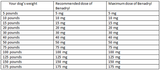 Benadryl Dosage for Bulldogs 3