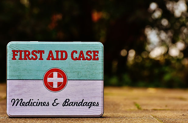 First Aid Kit for Dogs