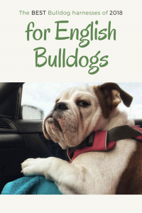 The Best Bulldog Harnesses For English Bulldogs In 2024 best bulldog harness