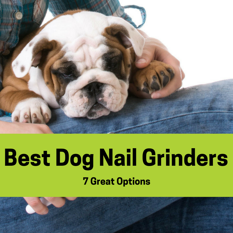 Best Dog Nail Grinder