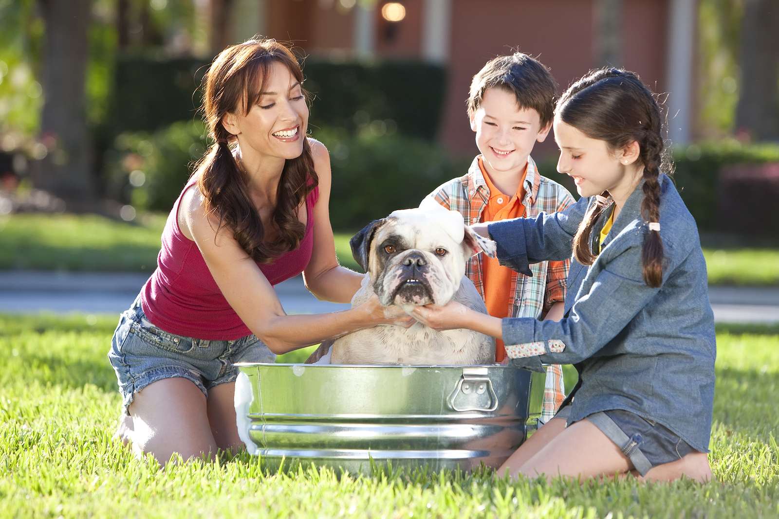 best smelling shampoo for dogs